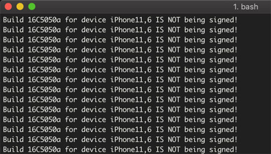 ios1211-beta3-shsh-completely-closed-20190314-2