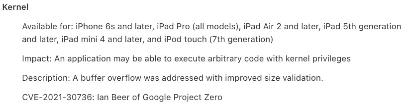 release-security-contents-ios146-ipados146-ianbeer-and-linushenze-2