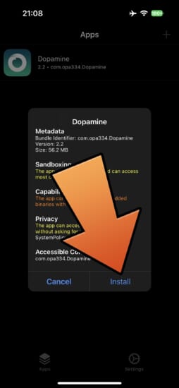 update-dopamine-v22-remove-dyld-interpose-5